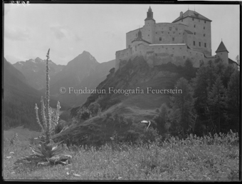 Schloss Tarasp Königskerze im Vordergrund