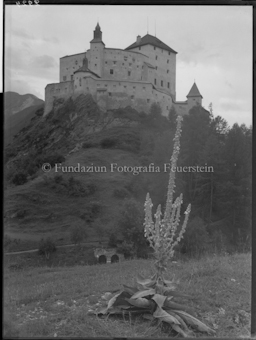 Schloss Tarasp mit Königskerze