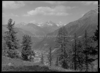 Nationalpark Weg nach Cluoza mit Piz Linard