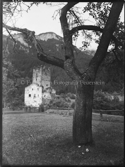 Domleschg Ruine Campell