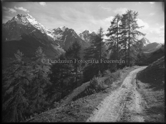 Feldweg nach Ftan / Pisoc, Zuort, Plavna da dadora und P. Nair