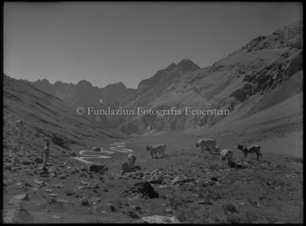 Landschaft mit Kühen und Mann