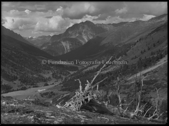 Landschaft mit Bergpanorama