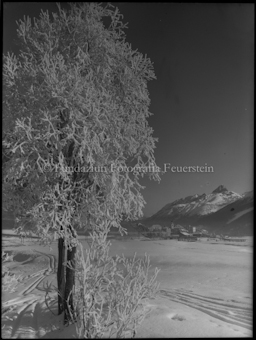 Winterlandschaft, im Hintergrund Ftan