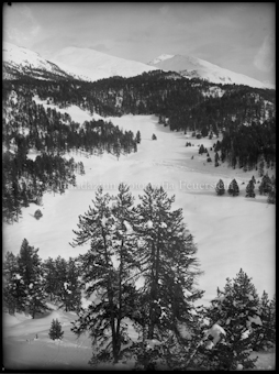 Winterlandschaft