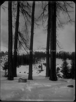Winterlandschaft