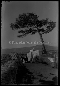 Landschaft an der Adria