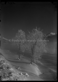 Winterlandschaft
