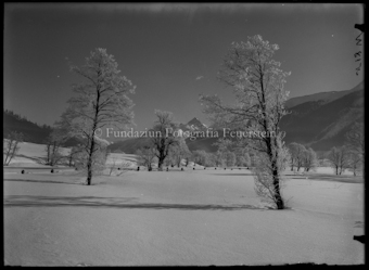 Winterlandschaft
