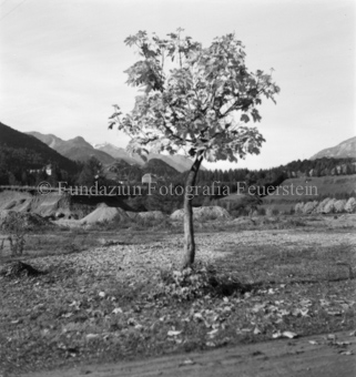 Kieshaufen im Hintergrund, Bezeichnung Hülle: Motive Sommer / Winter