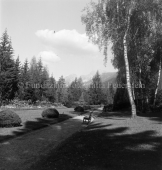Wald und Berglandschaft im Hintergrund, Bezeichnung Hülle: Motive Sommer / Winter