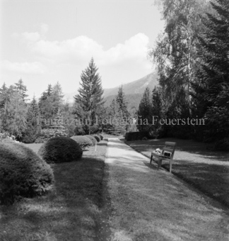 Wald und Berglandschaft im Hintergrund, Bezeichnung Hülle: Motive Sommer / Winter