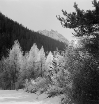 Bezeichnung Hülle: Motive Sommer / Winter