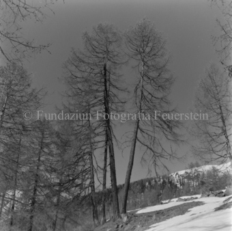 Schnee am Hang, Bezeichnung Hülle: Motive Sommer / Winter