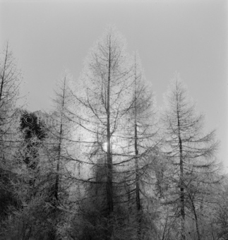 Bezeichnung Hülle: Motive Sommer / Winter