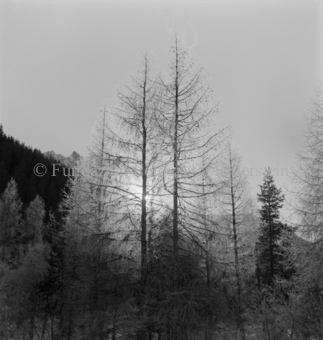 Bezeichnung Hülle: Motive Sommer / Winter