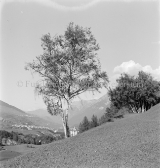 Berglandschaft im Hintergrund, Bezeichnung Hülle: Motive Sommer / Winter