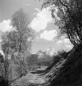 Bezeichnung Hülle: Motive Sommer / Winter