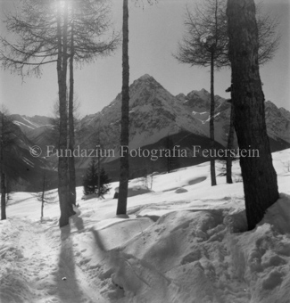 Bezeichnung Hülle: Motive Sommer / Winter