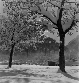 Berglandschaft im Hintergrund, Bezeichnung Hülle: Motive Sommer / Winter