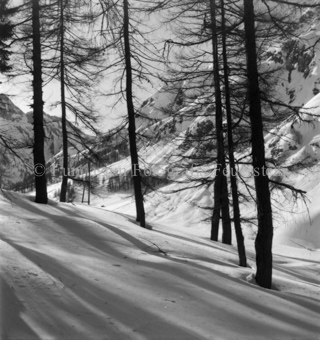 Berglandschaft im Hintergrund, Bezeichnung Hülle: Motive Sommer / Winter