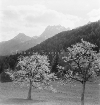 Bezeichnung Hülle: Motive Sommer / Winter