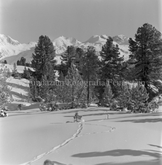 Spuren im Schnee, Berge im Hintergrund, Bezeichnung Hülle: Motive Sommer / Winter