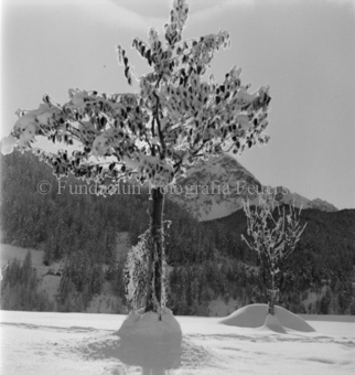 Reif auf den Blättern, Berge im Hintergrund, Bezeichnung Hülle: Motive Sommer / Winter