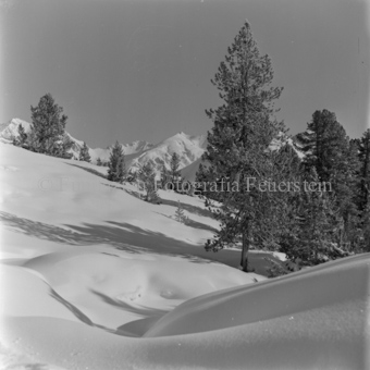 Berglandschaft im Hintergrund, Bezeichnung Hülle: Motive Sommer / Winter