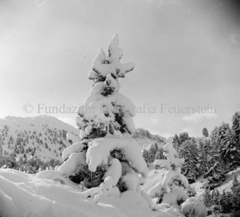 Bezeichnung Hülle: Motive Sommer / Winter