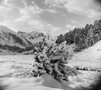 Bezeichnung Hülle: Motive Sommer / Winter