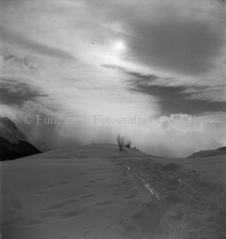 Sonne scheint durch den Nebel, Bezeichnung Hülle: Motive Sommer / Winter