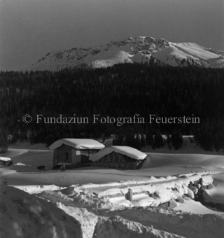 Bauer mit Kühen, Wald und Berglandschaft im Hintergrund, Bezeichnung Hülle: Motive Sommer / Winter