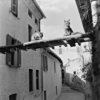 Tessin, Bezeichnung Hülle: Tessin 1946