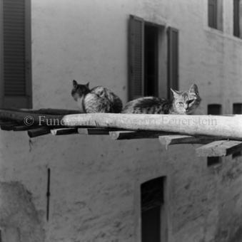Tessin, Bezeichnung Hülle: Tessin 1946