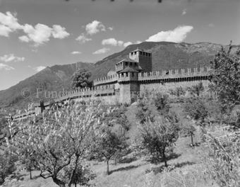 Rebberge aussen am Hang, Bezeichnung Hülle: Tessin 1959