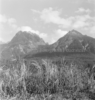 Gerste oder Roggen, Scuol, Bezeichnung Hülle: Bauern, Alltag, Brauchtum, Ernte, tägliches Brot, Bauernarbeit, Alpfahrt