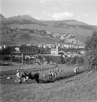 Gurlaina, Scuol, Bezeichnung Hülle: Bauern, Alltag, Brauchtum, Ernte, tägliches Brot, Bauernarbeit, Alpfahrt