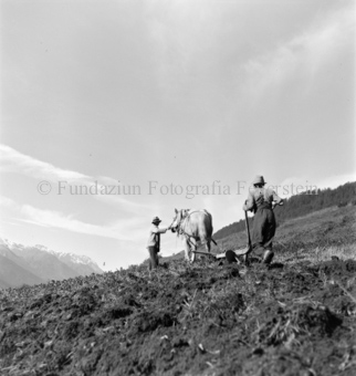 Scuol, Bezeichnung Hülle: Bauern, Alltag, Brauchtum, Ernte, tägliches Brot, Bauernarbeit, Alpfahrt