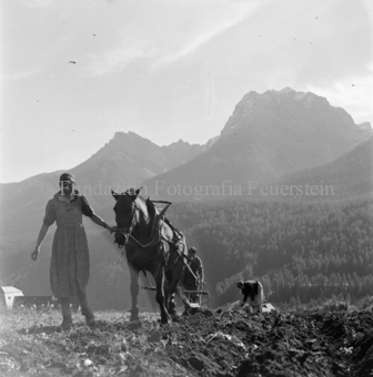 Scuol, Bezeichnung Hülle: Bauern, Alltag, Brauchtum, Ernte, tägliches Brot, Bauernarbeit, Alpfahrt