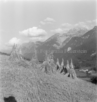 Berglandschaft im Hintergrund, Bezeichnung Hülle: Bauern, Alltag, Brauchtum, Ernte, tägliches Brot, Bauernarbeit, Alpfahrt