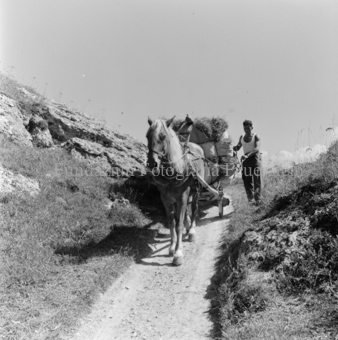 Bezeichnung Hülle: Bauern, Alltag, Brauchtum, Ernte, tägliches Brot, Bauernarbeit, Alpfahrt