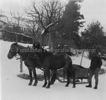 Landschaft schneebedeckt, Bezeichnung Hülle: Tiere im Zug, Pferde, Kühe und diverses
