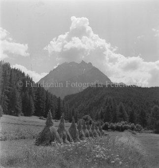 Wald und Berglandschaft im Hintergrund, Bezeichnung Hülle: Bauern, Alltag, Brauchtum, Ernte, tägliches Brot, Bauernarbeit, Alpfahrt