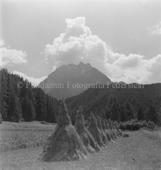 Wald und Berglandschaft im Hintergrund, Bezeichnung Hülle: Bauern, Alltag, Brauchtum, Ernte, tägliches Brot, Bauernarbeit, Alpfahrt