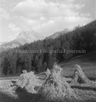 Wald und Berglandschaft im Hintergrund, Bezeichnung Hülle: Bauern, Alltag, Brauchtum, Ernte, tägliches Brot, Bauernarbeit, Alpfahrt