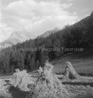 Wald und Berglandschaft im Hintergrund, Bezeichnung Hülle: Bauern, Alltag, Brauchtum, Ernte, tägliches Brot, Bauernarbeit, Alpfahrt