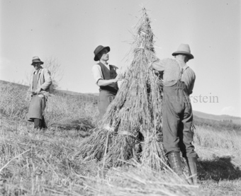 Bezeichnung Hülle: Bauern, Alltag, Brauchtum, Ernte, tägliches Brot, Bauernarbeit, Alpfahrt