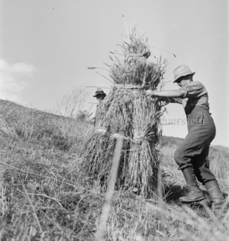 Bezeichnung Hülle: Bauern, Alltag, Brauchtum, Ernte, tägliches Brot, Bauernarbeit, Alpfahrt