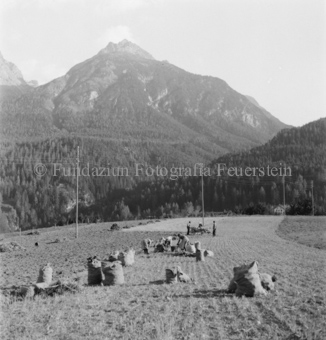 Bezeichnung Hülle: Bauern, Alltag, Brauchtum, Ernte, tägliches Brot, Bauernarbeit, Alpfahrt